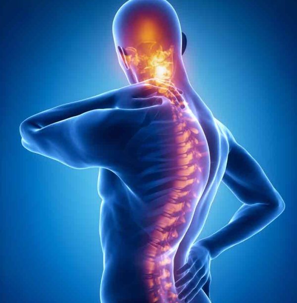 neck-back-pain-oakland-physical-therapy-SOL-409424113-1